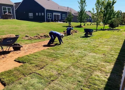Crew laying new sod rolls across a prepped backyard